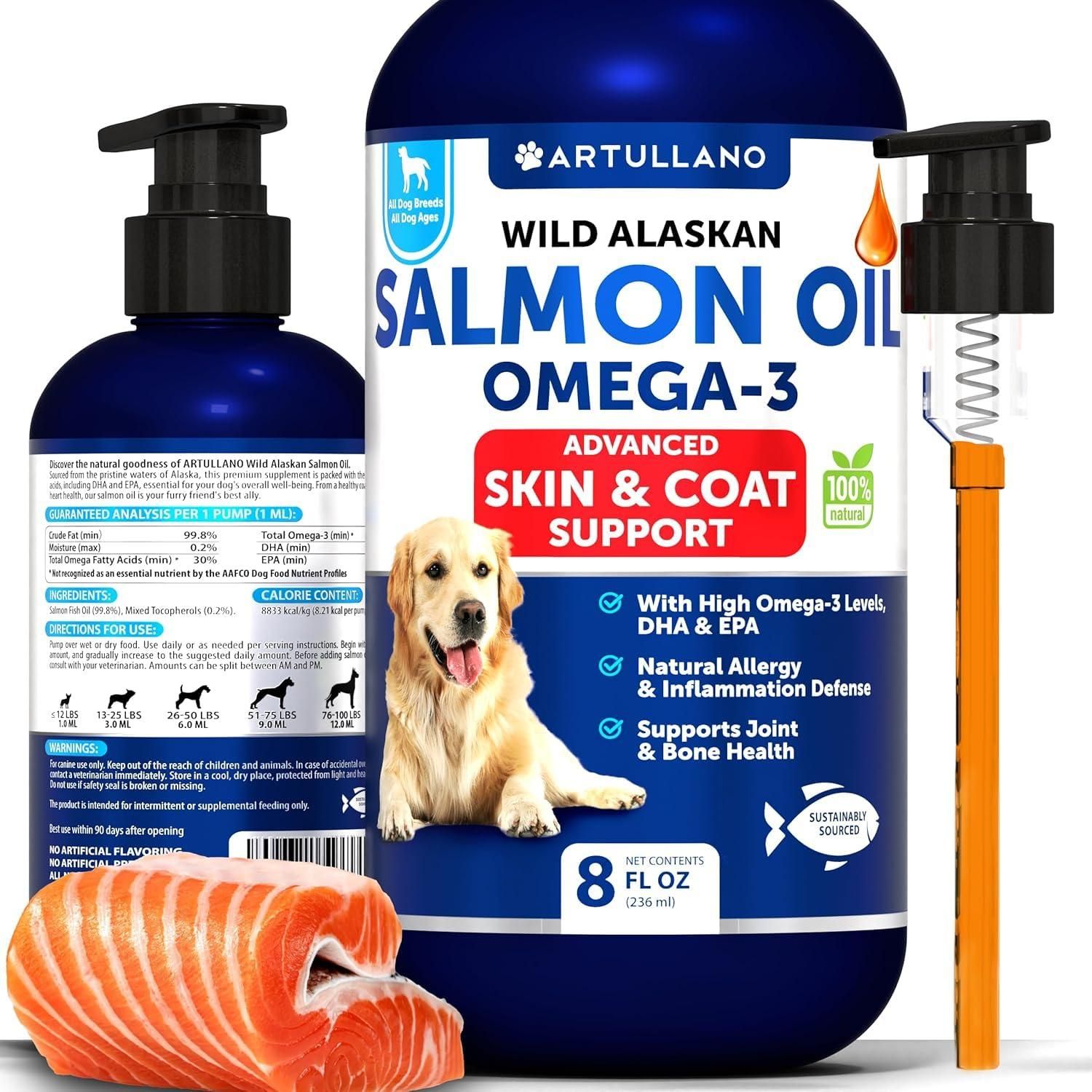 Spring Health for Your Pooch