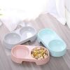 Feeding Bowl For Indoor Dog Assorted Varieties