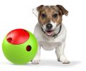 Foobler Timed, Self Reloading Puzzle Feeder for Dogs Toy Ball