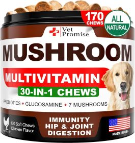 Mushroom Chews Turkey Tail  Lions Mane Reishi Mushroom Supplement
