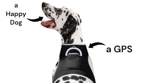 Long Range GSM GPS Tracking Harness-Hunting Dogs Size:XL