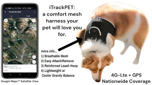 Waterproof GPS Electronic Dog Tracking Devices for Dogs Size:M