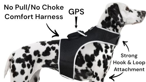 GPS Tracker for Dog Collar w/ Perimeter Fencing System Size:XL
