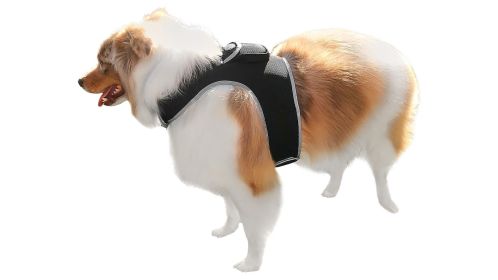 NEW Dog Tracker Device Waterproof Portable GPS