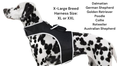 Waterproof Tracking Collars for Hunting Dogs Realtime GPS Size:XL