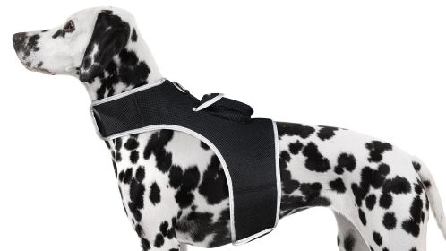 Wireless GPS Collars for Hunting Dogs Realtime Tracking Size:XL
