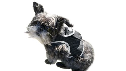 Hunting Made Easy NEW Pet Tracker GPS Tracking Collars