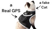 Collar Rechargeable Portable GPS Tracking Devices GSM Locator Size:XL