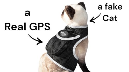 Collar Rechargeable Portable GPS Tracking Devices GSM Locator Size:XL