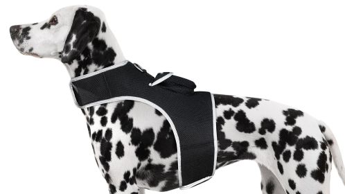 Mini GSM GPRS GPS Realtime Collar Dog Tracker Size:L