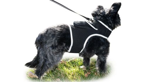 Mini Waterproof GPS Tracking Harness -Hunting w/ Tracking App Size:L