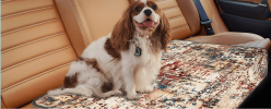 Washable Pee Pads For Dogs, 2 Pack Reusable Puppy Pads 18x24