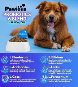 Dogs Digestive Enzymes Gut Flora Digestive Health Immune System