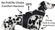 Portable Collar GSM GPS Pet Finder Realtime Tracking System Waterproof Size:XL
