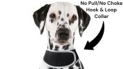 Find Pet Easily with Pet Tracker Mini GPS Collar for Dogs Tracking Device Size:XS