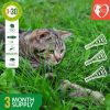 Natural Flea Treatment Home Pest Control Topical Flea Mosquito