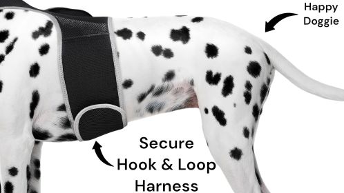 Dog Collar Rechargeable GPS Tracking Devices GSM Locator L