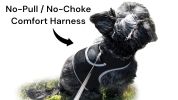 Portable Collar GSM GPS Pet Finder Realtime Tracking System Waterproof Size:XL