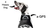 Collar Rechargeable Portable GPS Tracking GSM Locator Size:XS