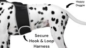 Precise Realtime Dog Tracking GPS GSM System Collar Size:L