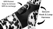 Collar Rechargeable Portable GPS Tracking GSM Locator Size:XS