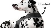 Wireless GPS Collars for Hunting Dogs Realtime Tracking Size:XL