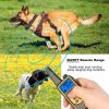 Dog Training Collar IP67 Trainer