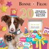 Dog Treats Gift Box Happy Birthday Theme