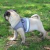 Escape Proof Dog Harnesses with Leash (Set)