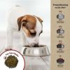 Adult Dry Food Limited Ingredient Grain-Free Salmon