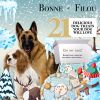 Dog Treats Gift Box Winter Theme