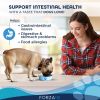 Actiwet Dog Food-Digestive