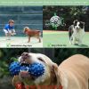 Interactive Dog Toy Football With Grab Ring, Tug Of War