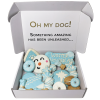Dog Treats Gift Box Winter Theme