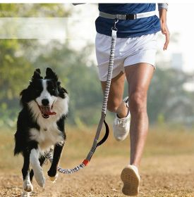 Hands Free Dog Leash- Durable Dual Handle Waist Leash (Specification (L * W): 2.5*160cm, Colour: blue-4211)
