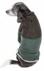 4-Way Stretch Two-Toned Full Body Warm Up