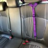 Solid Color 2 In 1 Car Seat Belt Leash Backseat Belt Adjustable For Dog