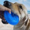 dog toy 2pcs bite resistant sound making molar cleaning