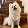 New Happy Birthday Embroidery Dog bib  Mouth towel