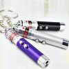 Dog Chaser Tease Stick (Includes Battery)