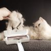 2-Way Dog Hair Remover Lint Roller Carpet Brushes