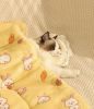 Blanket Dog Bed Warm Mat Four Seasons Universal Blanket