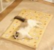 Blanket Dog Bed Warm Mat Four Seasons Universal Blanket